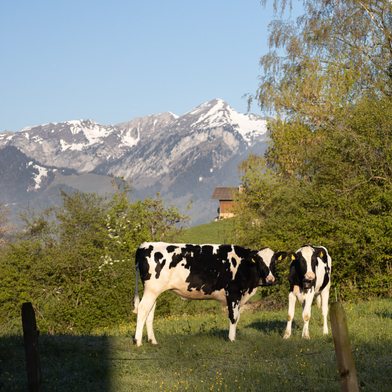 Atemberaubende Landschaft